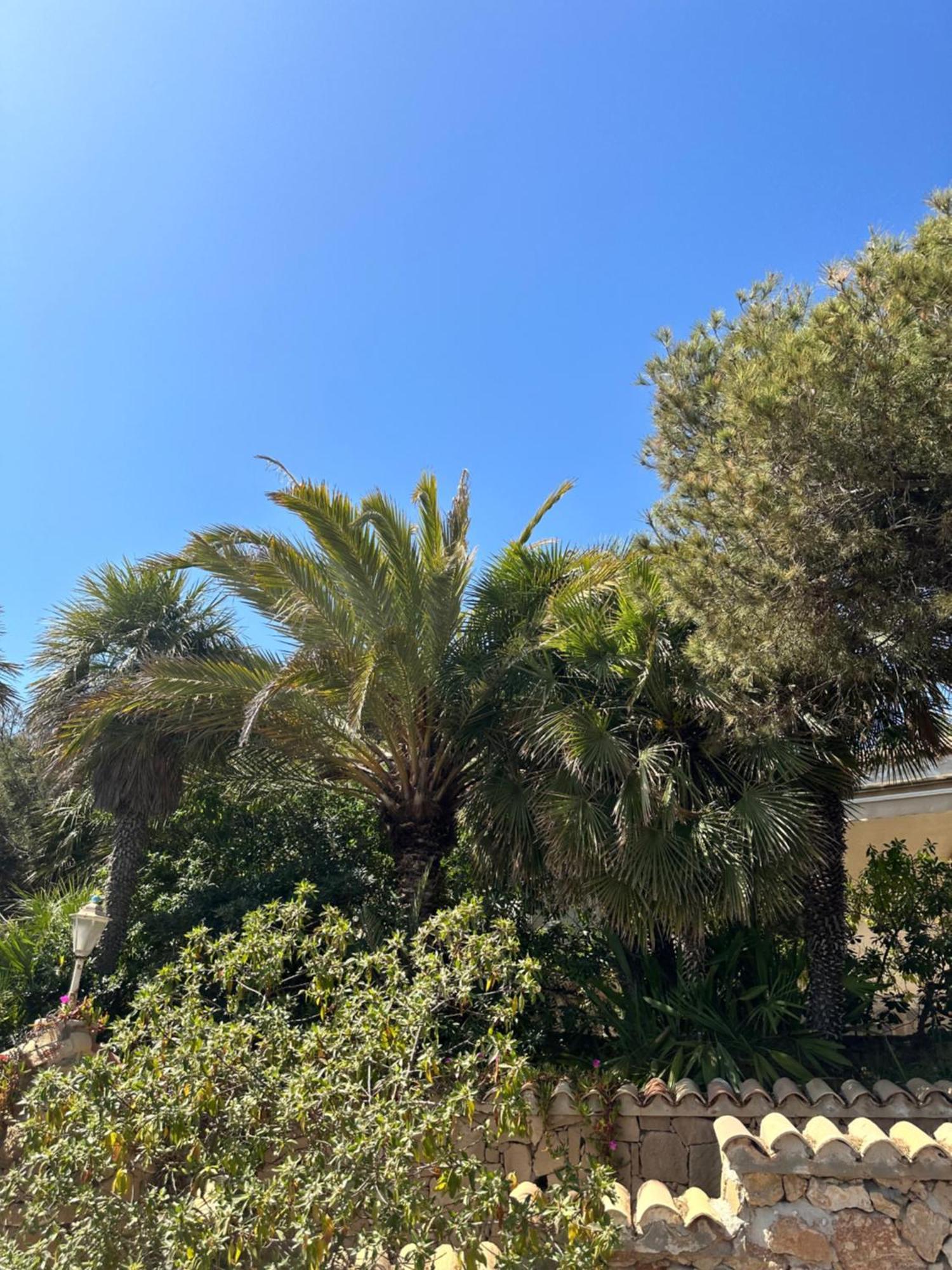 Appartement Relax Casa Costa Blanka *